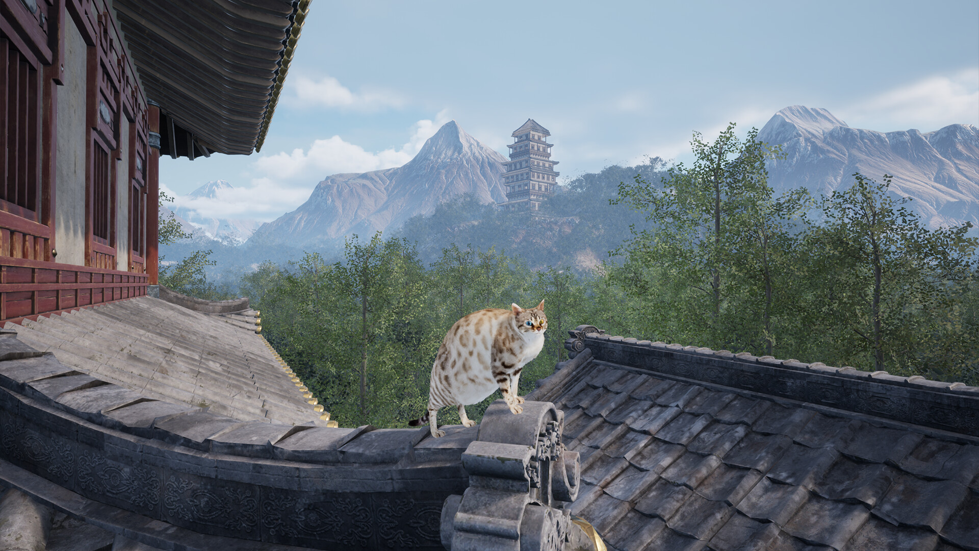 Chonky Cat screenshot 9