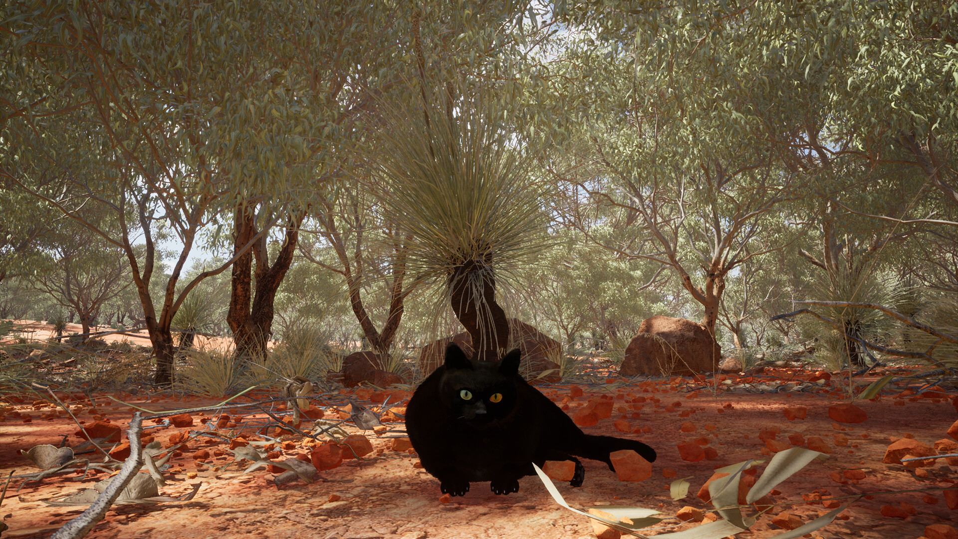 Chonky Cat screenshot 3