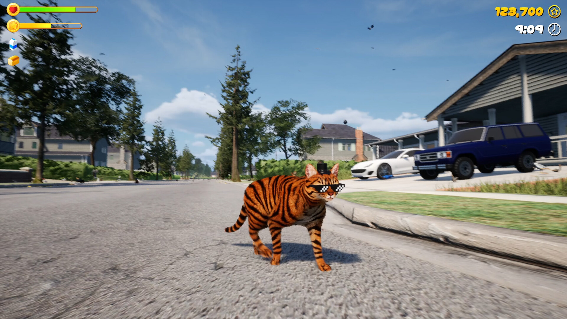 Chonky Cat screenshot 10