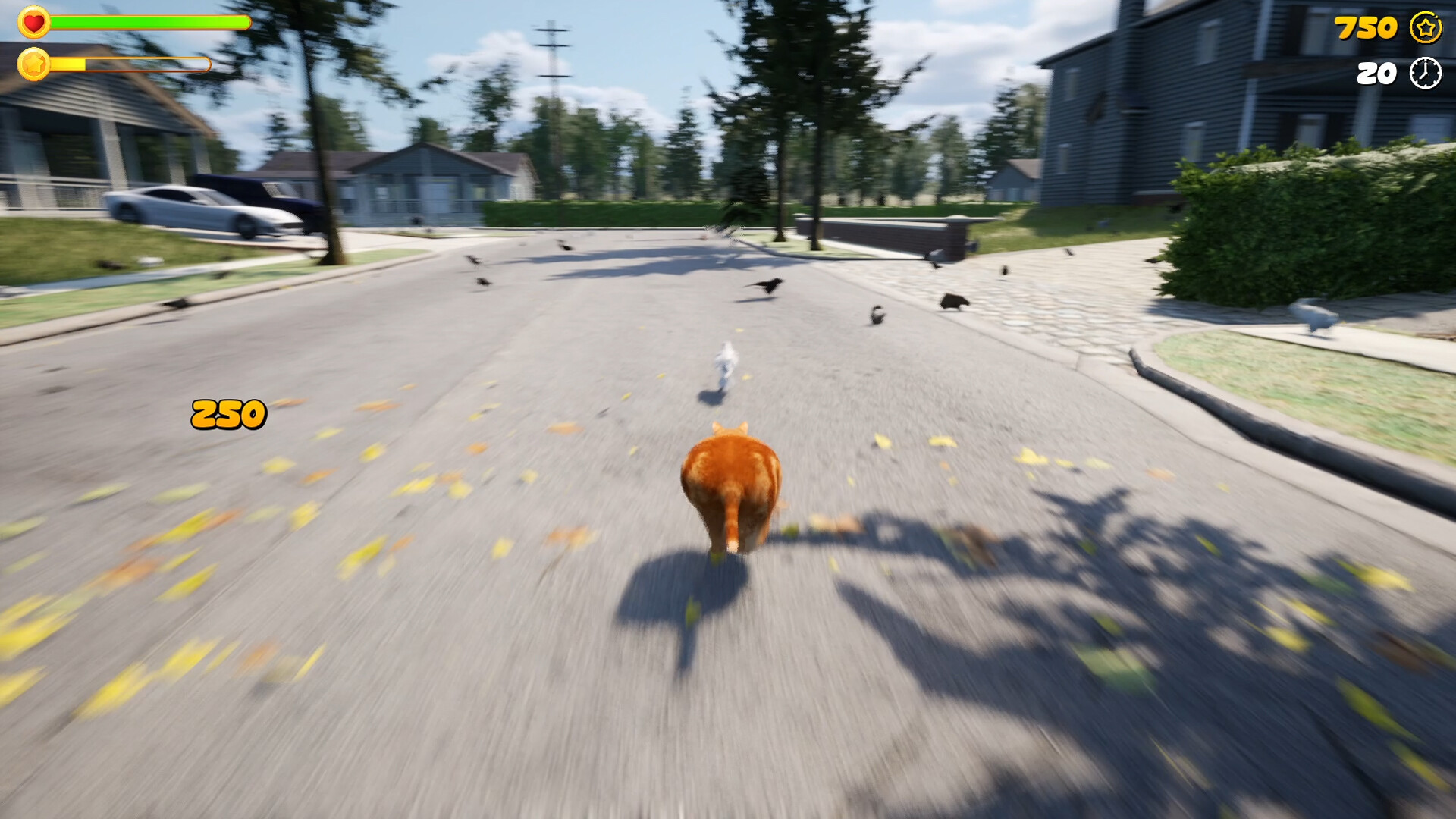 Chonky Cat screenshot 2