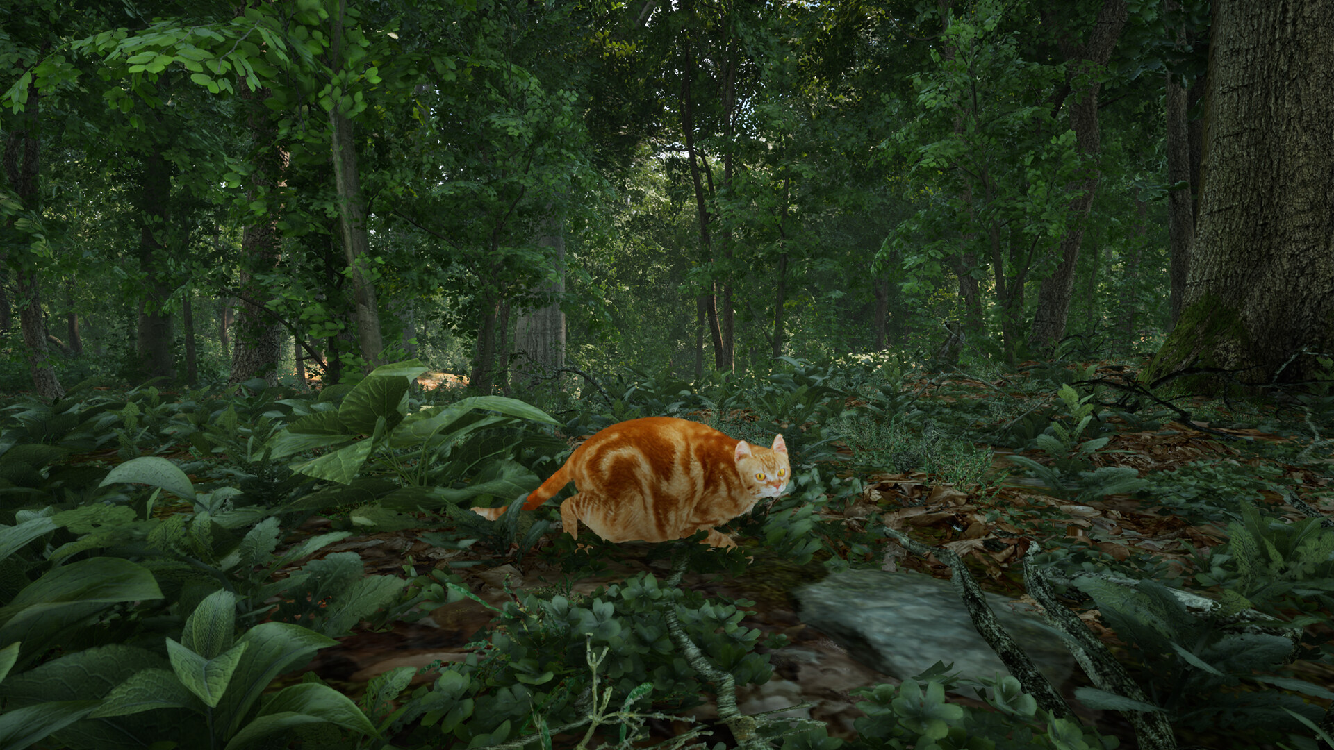 Chonky Cat screenshot 5