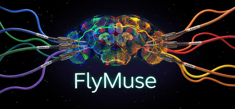FlyMuse — Steam header
