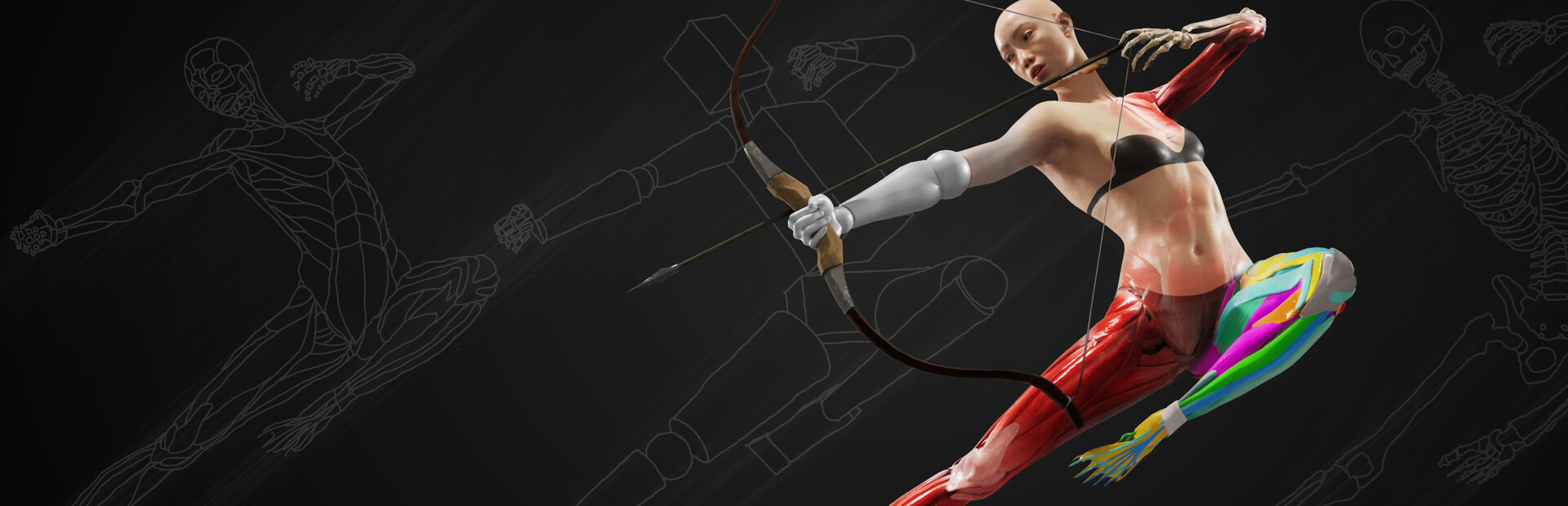HAELE 3D - Pose Studio Max - Anatomy Drawing References Demo