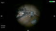 Screenshot #2