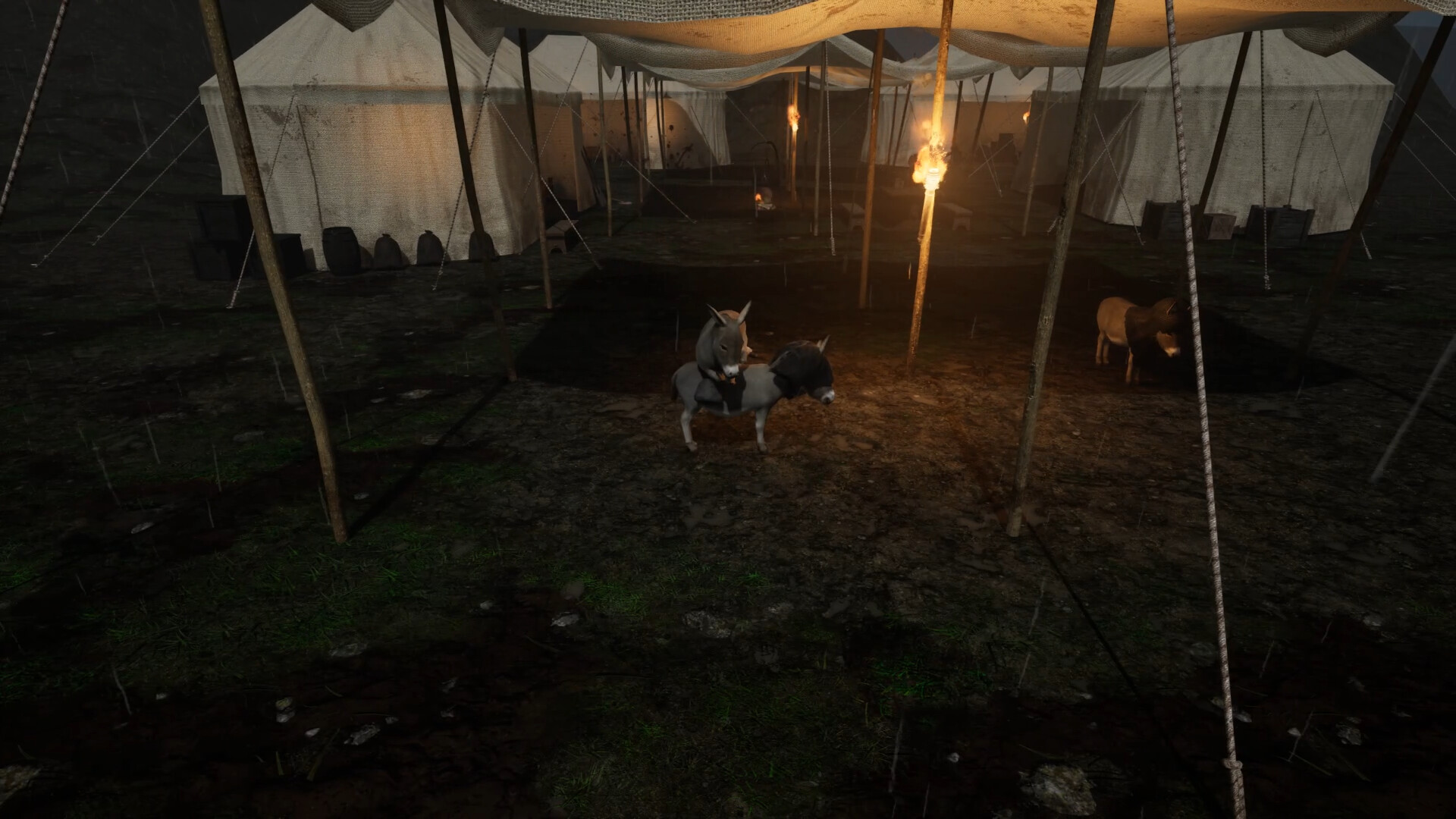 Immortal Donkey: 1346 screenshot 6