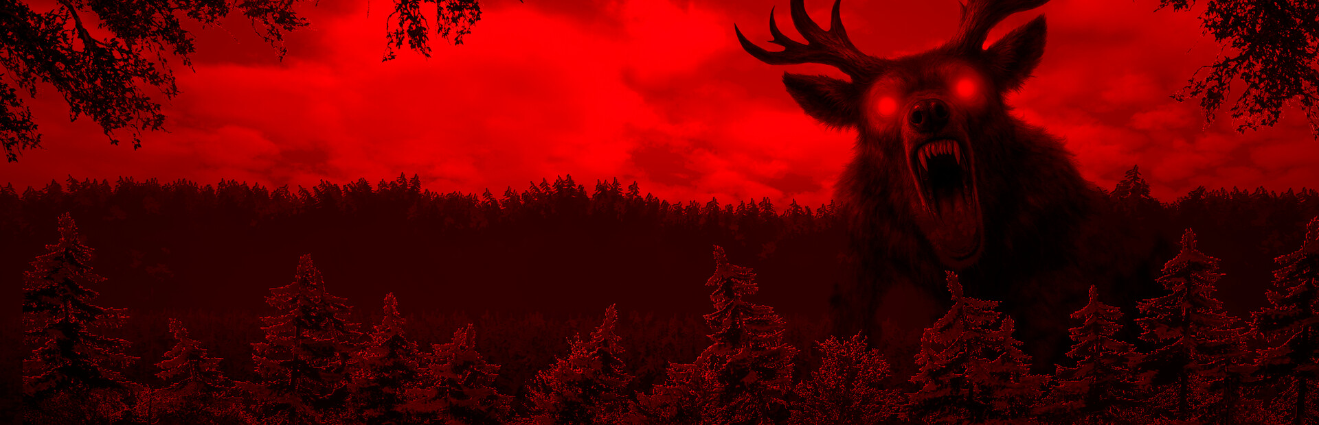 88 NIGHTS IN THE FOREST