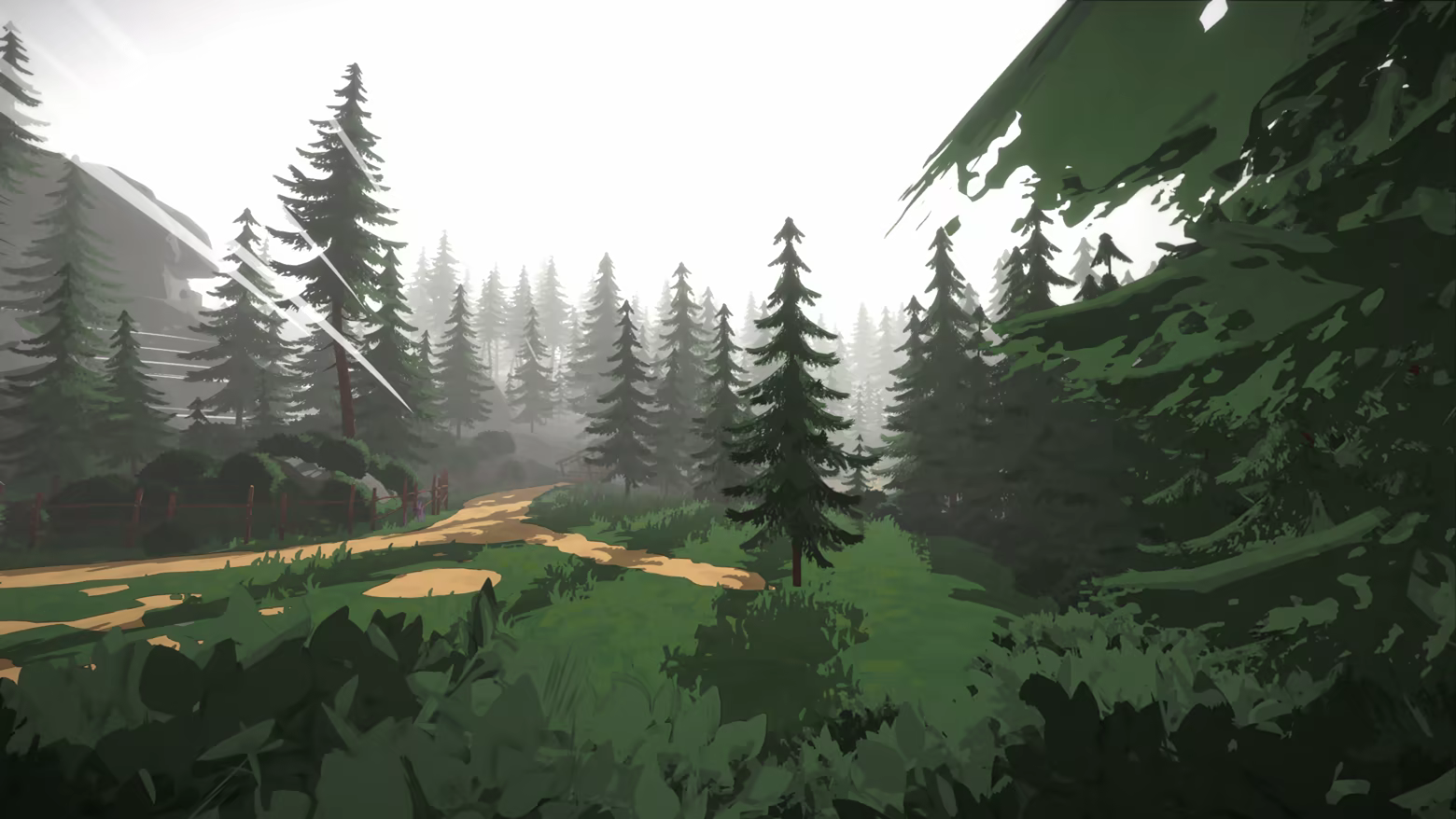 Image of a misty pine forest.