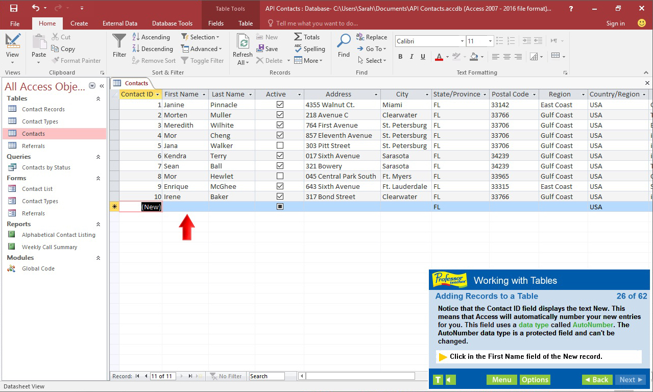Professor Teaches Access 2016 screenshot 2