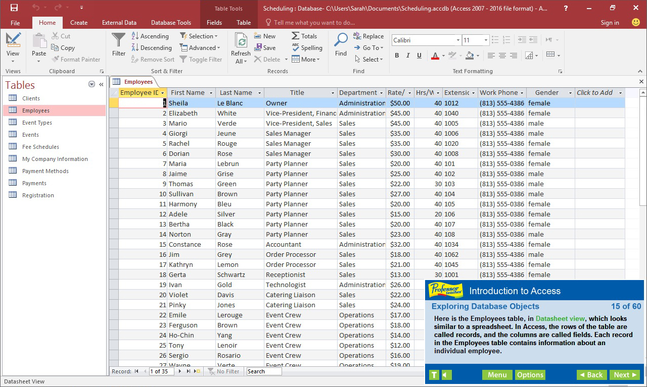 Professor Teaches Access 2016 screenshot 1