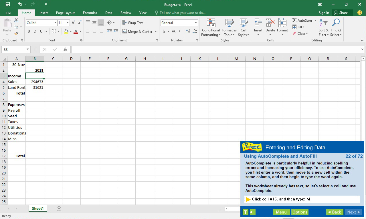 Professor Teaches Excel 2016 screenshot 4