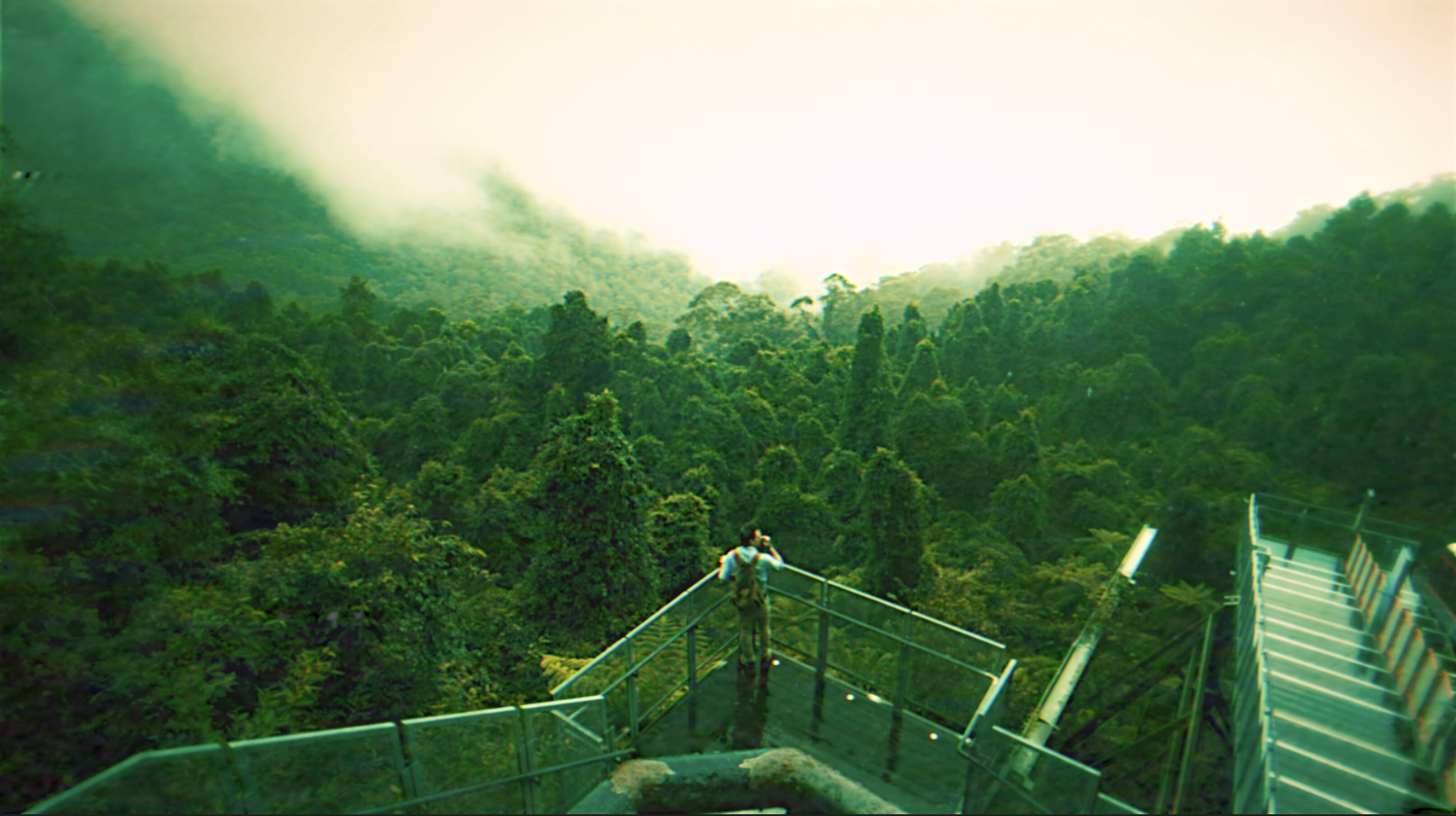 AFAR: An Interactive Horror Film screenshot 9