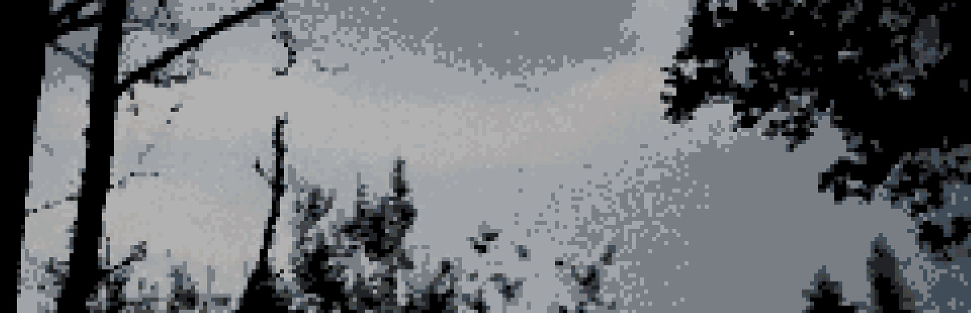 bygone snow
