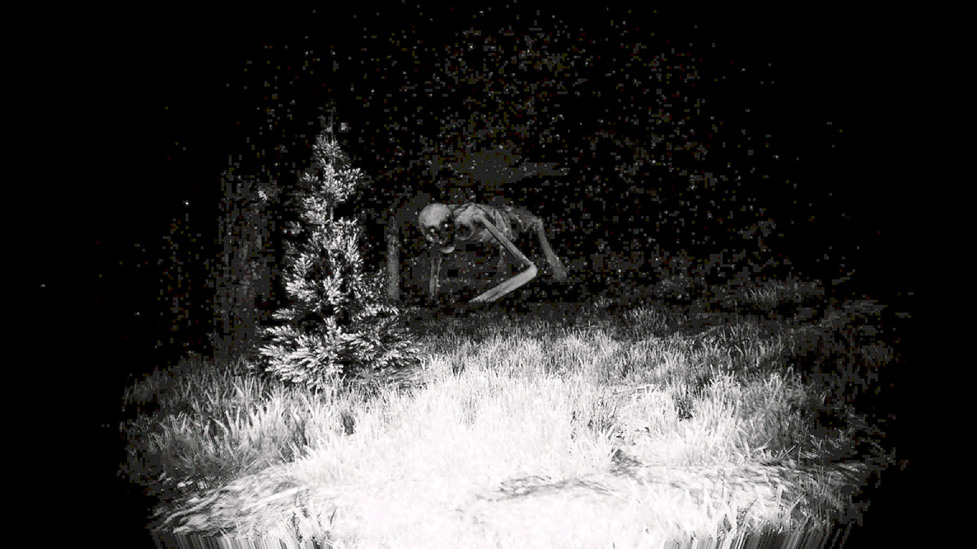 Prospice screenshot 4