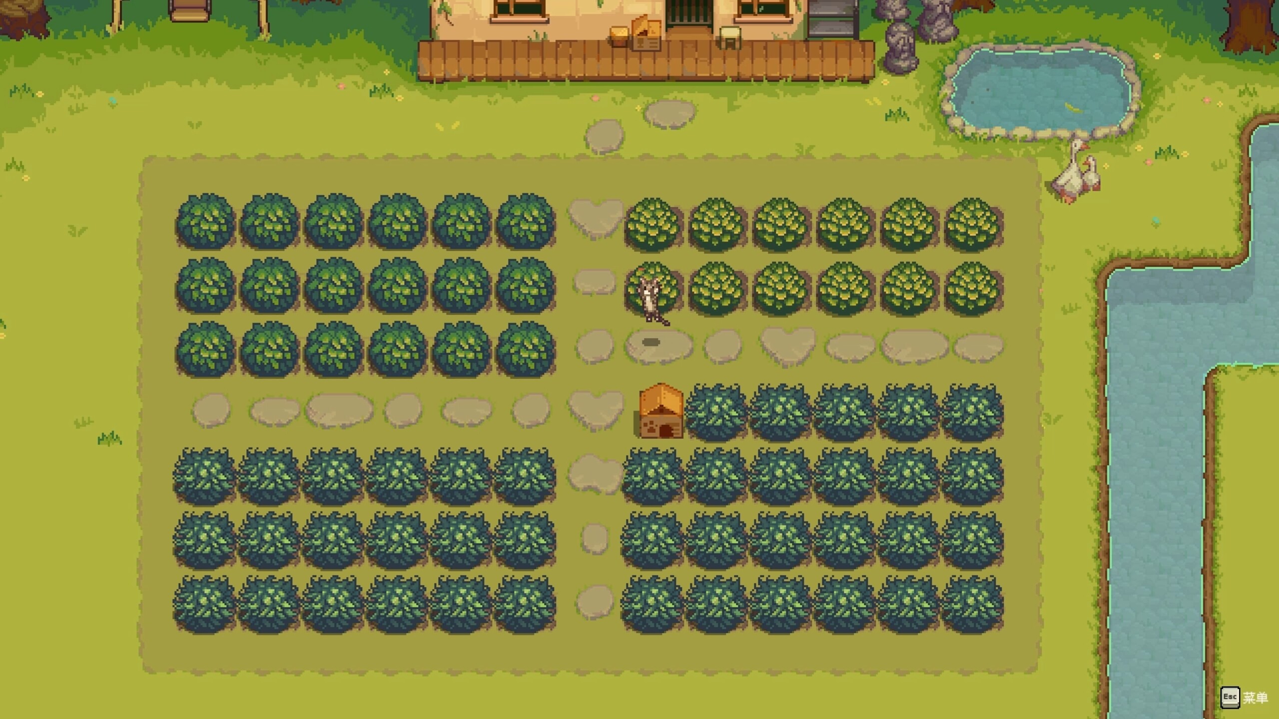 Neighbor's Tea screenshot 5