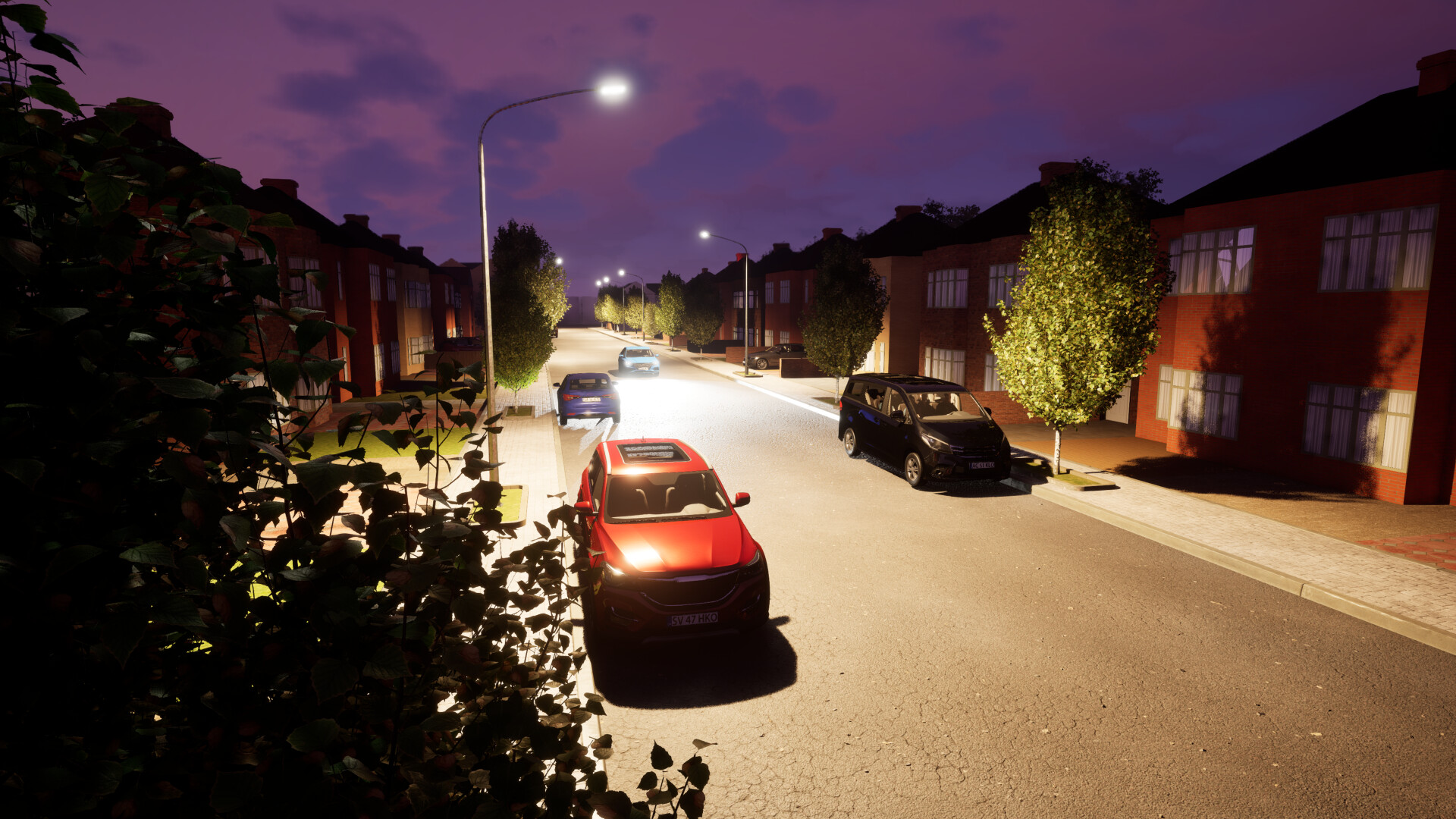 Driver Rookie screenshot 4
