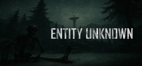 Entity Unknown