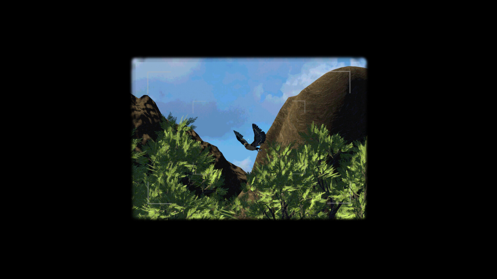 Birdwatching screenshot 5