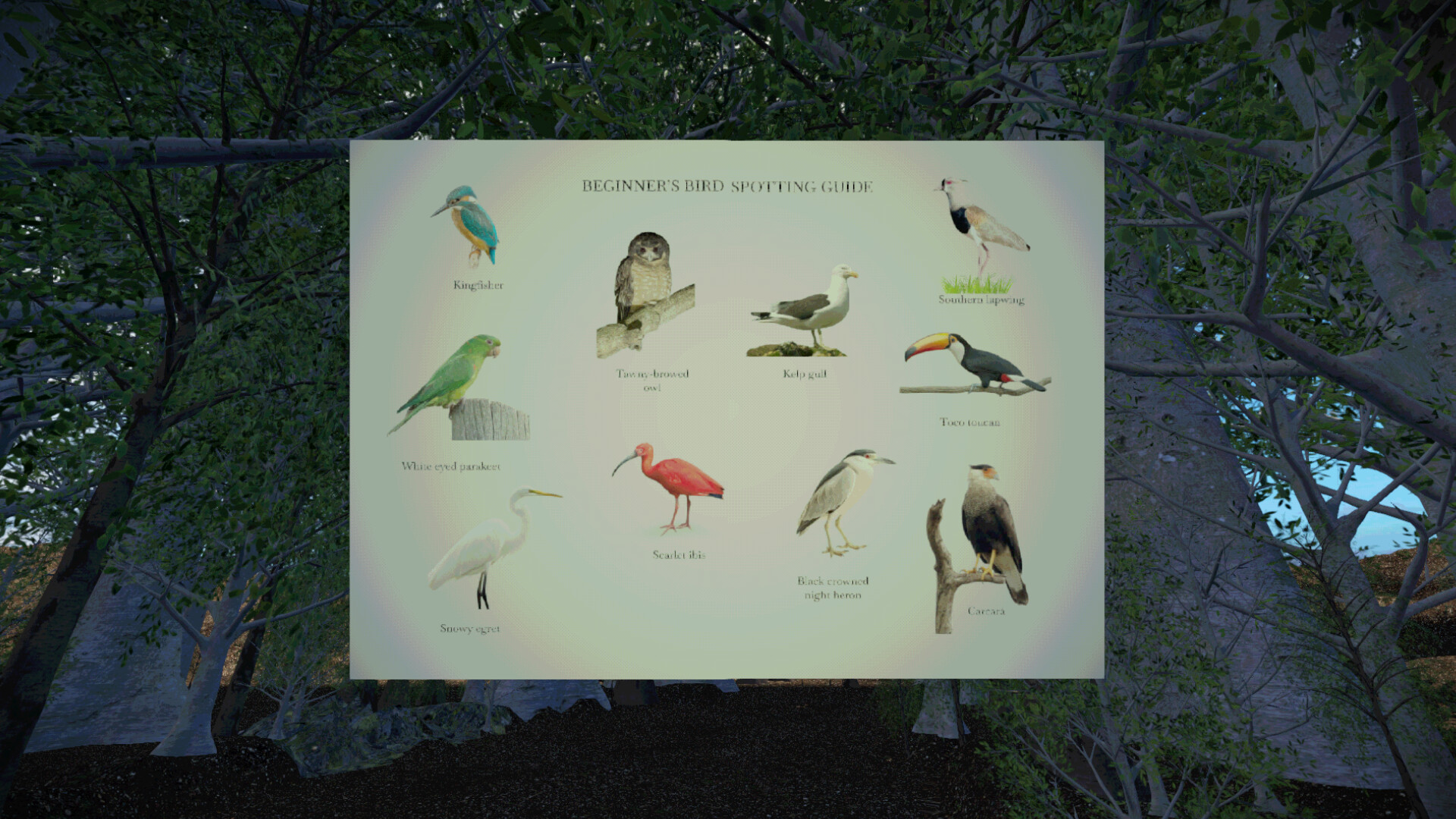 Birdwatching screenshot 2