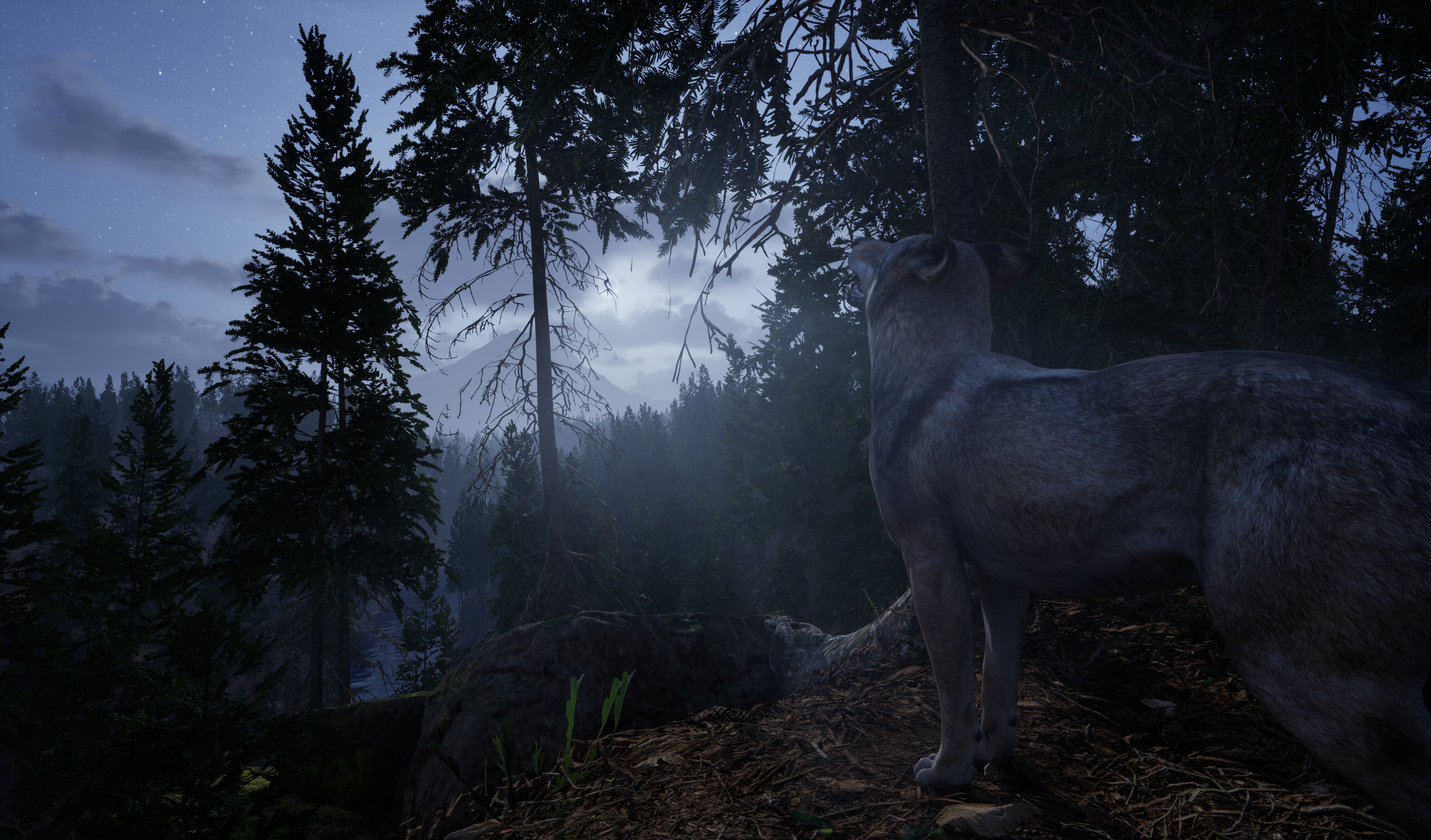Online: 404 screenshot 8