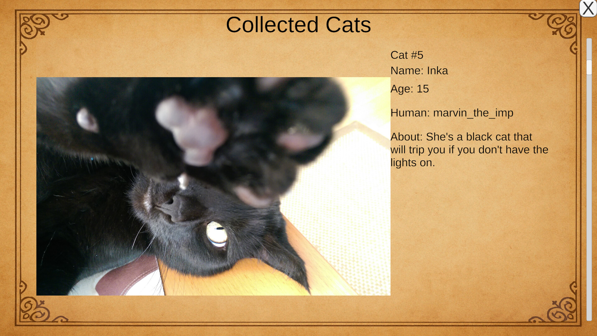 Kael's Cat Summoner screenshot 4