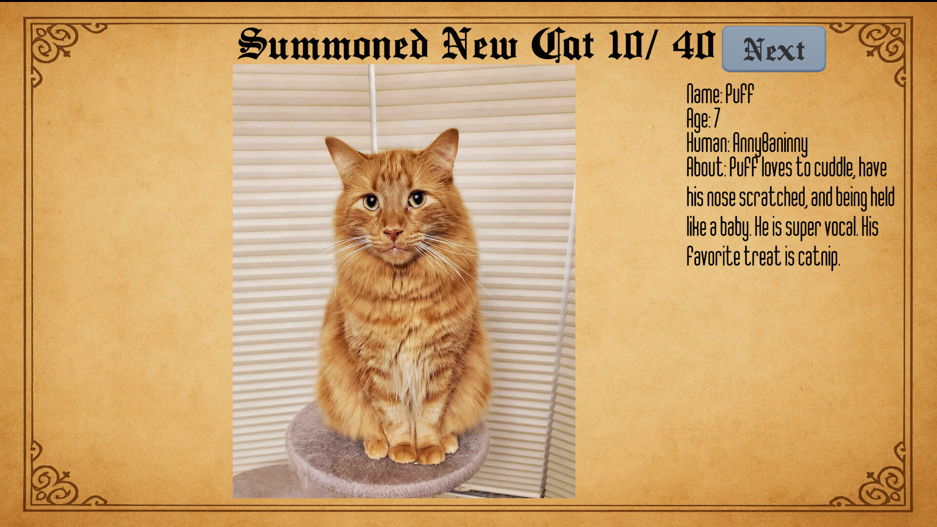 Kael's Cat Summoner screenshot 2