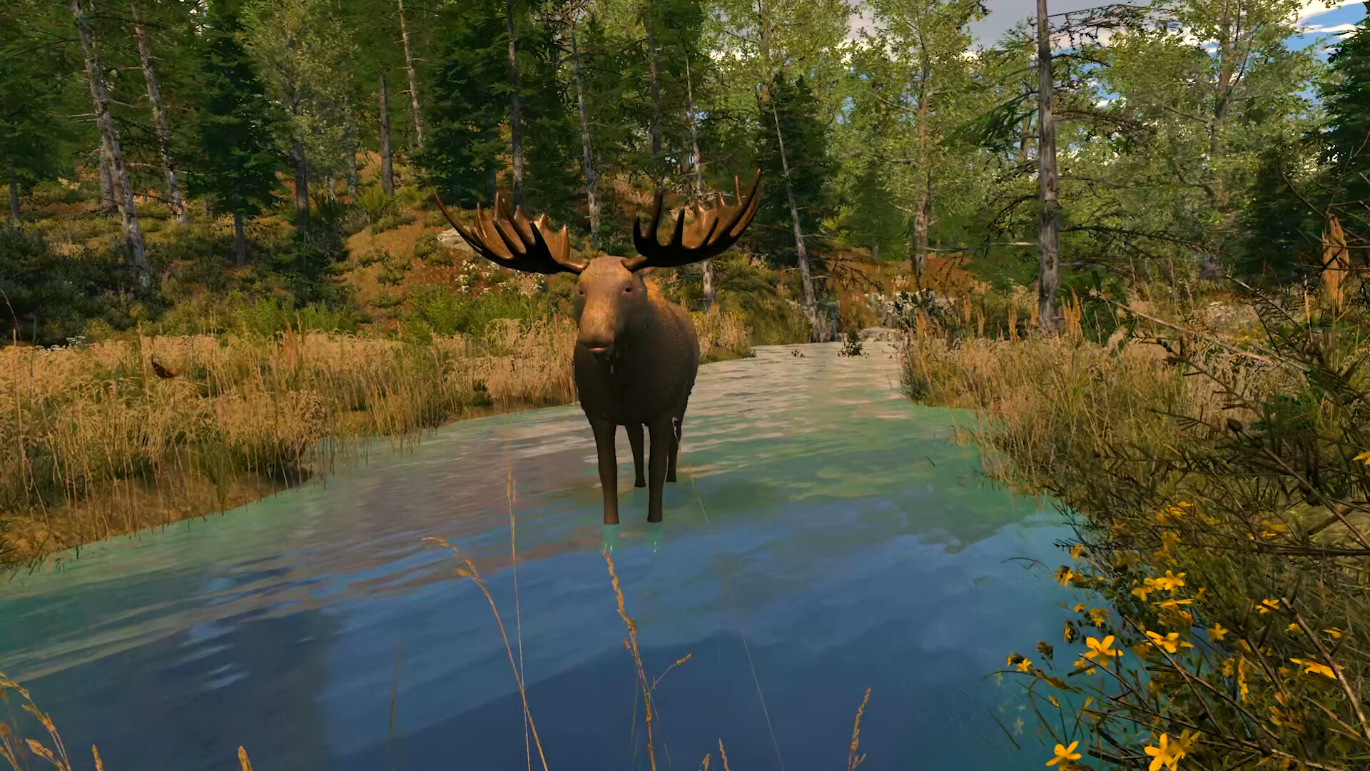 Capture The Wild screenshot 9