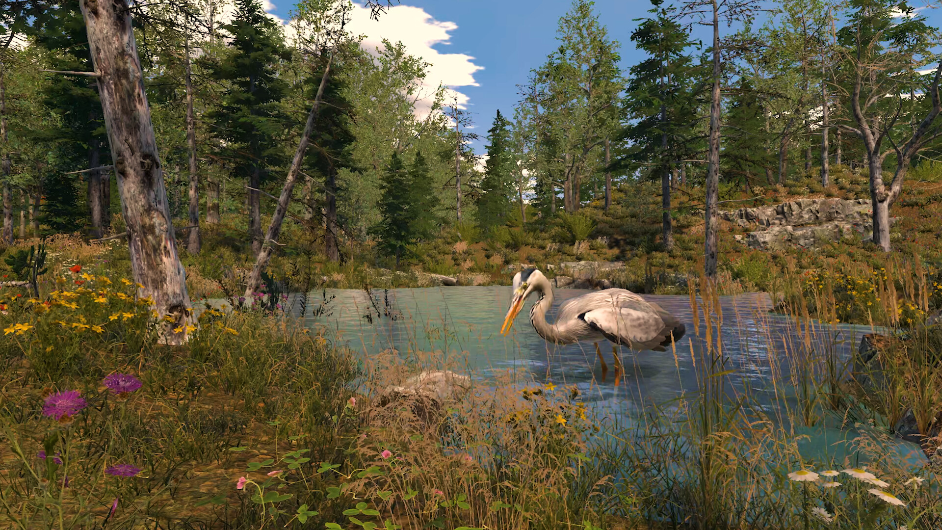 Capture The Wild screenshot 7