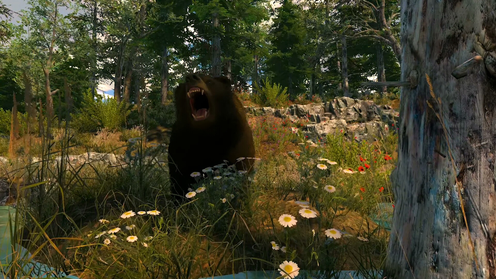 Capture The Wild screenshot 2