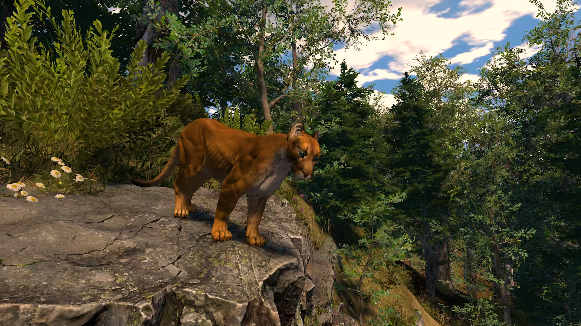 Capture The Wild screenshot 3