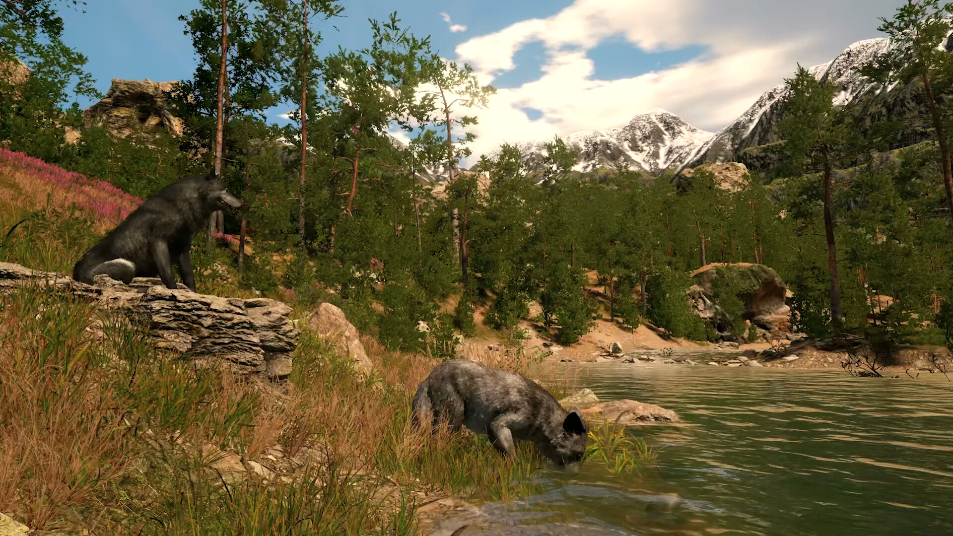 Capture The Wild screenshot 1