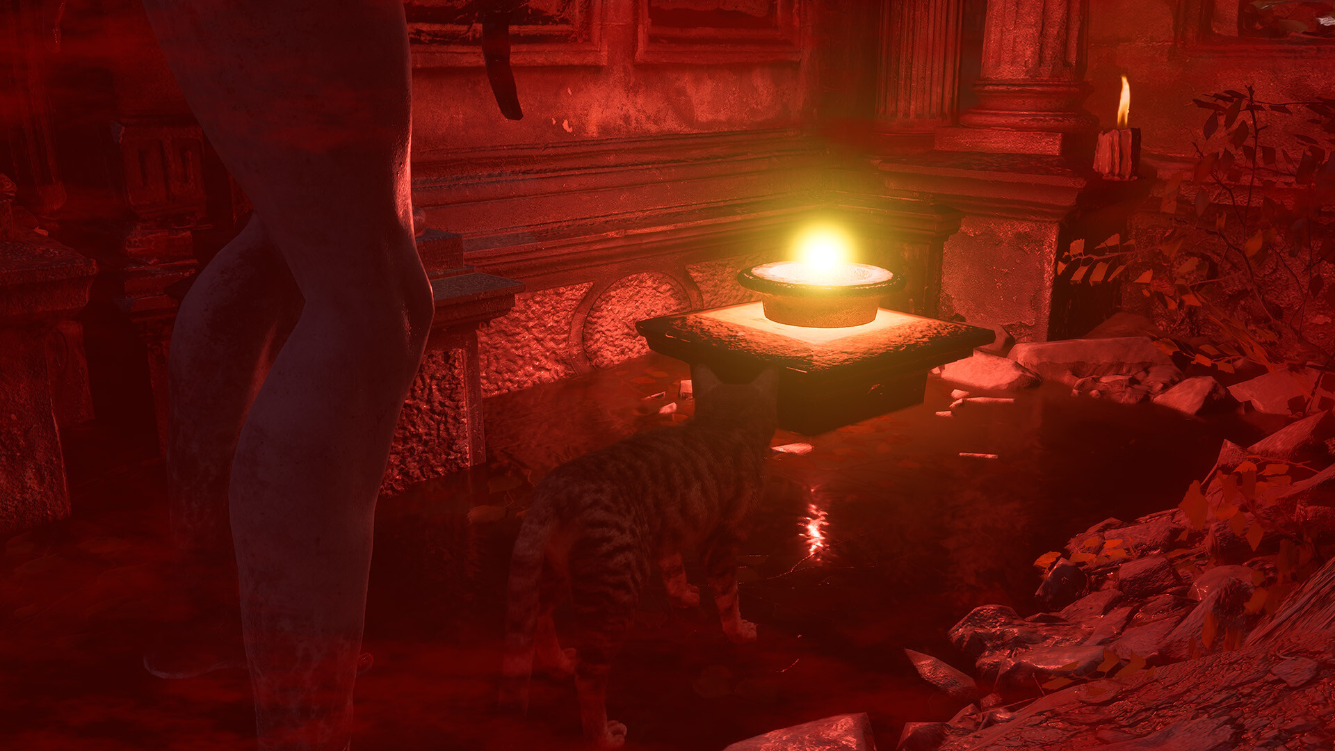 Meowmories screenshot 5