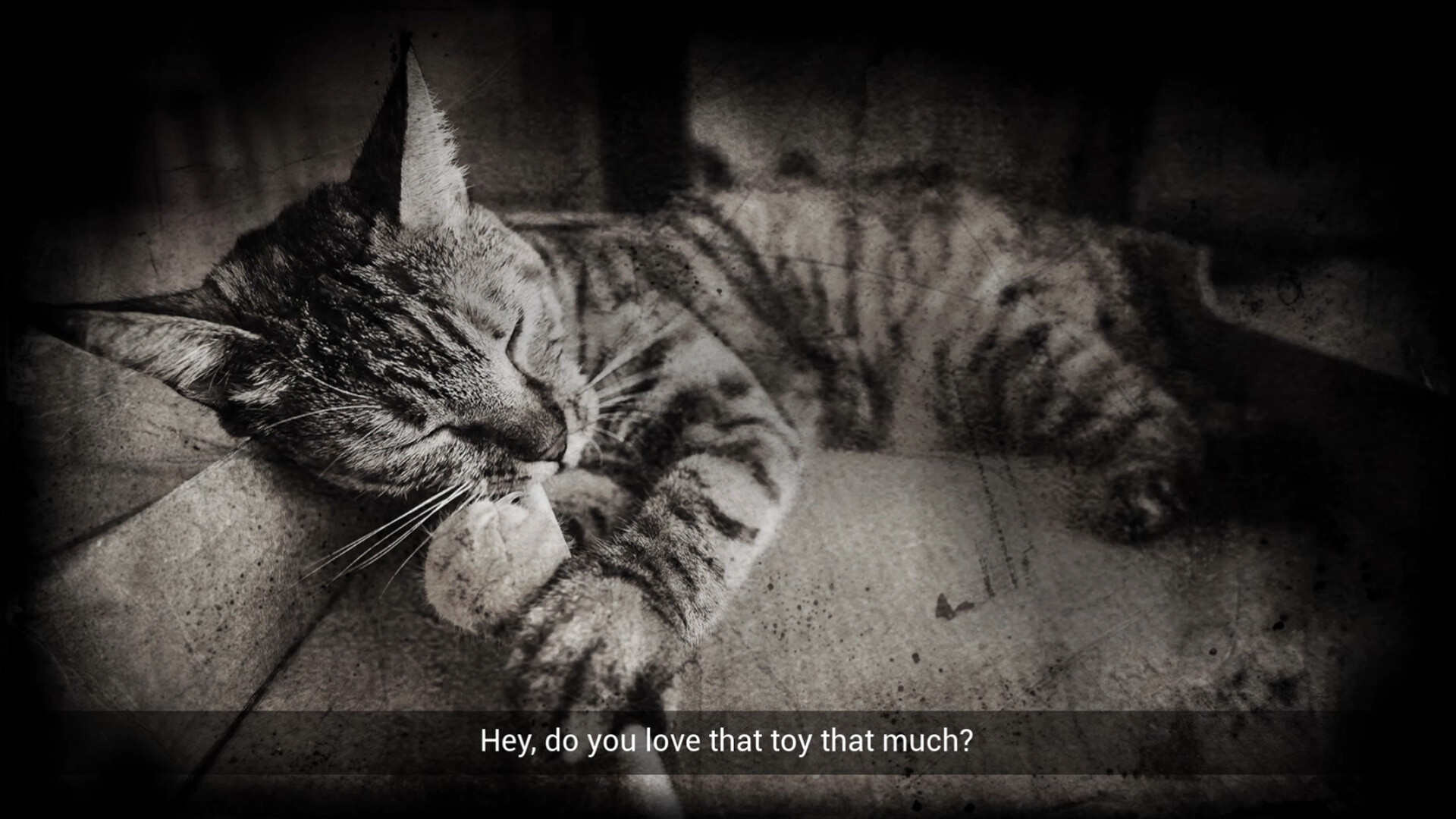 Meowmories screenshot 7