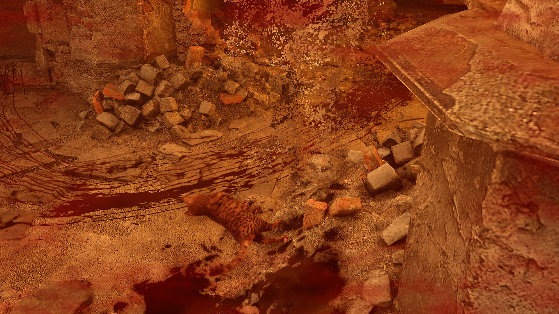 Meowmories screenshot 8