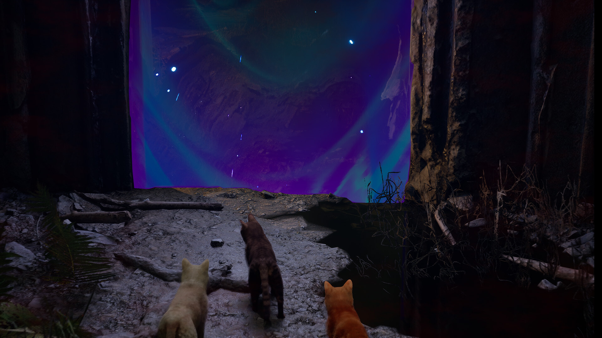 Meowmories screenshot 3