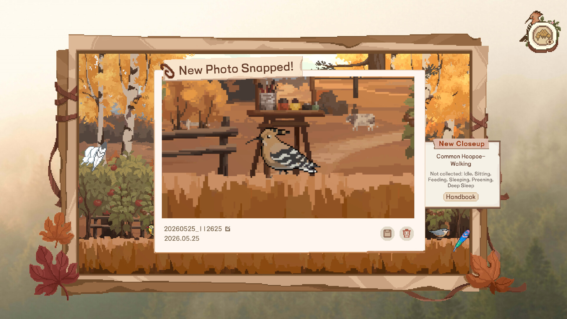Birdwatching Notebook screenshot 7