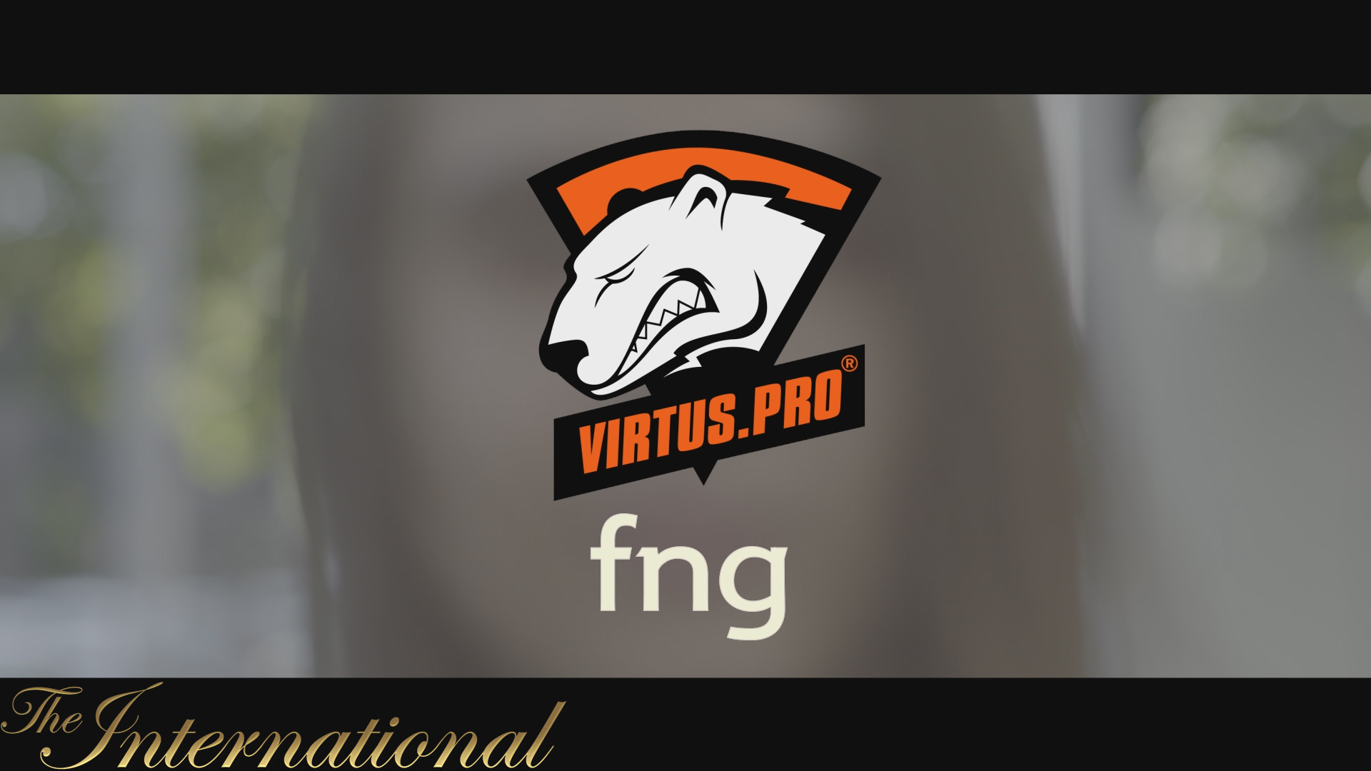 Dota 2 Player Profiles screenshot 17
