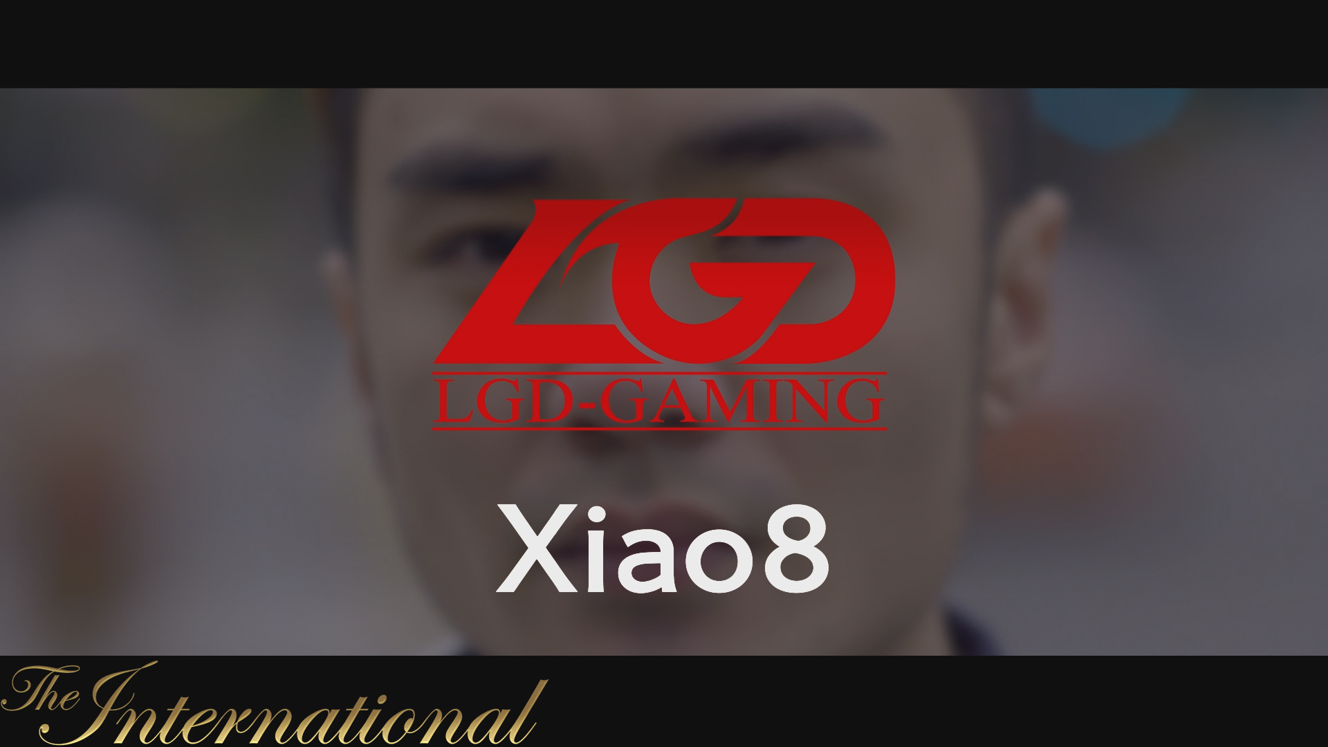 Dota 2 Player Profiles screenshot 21