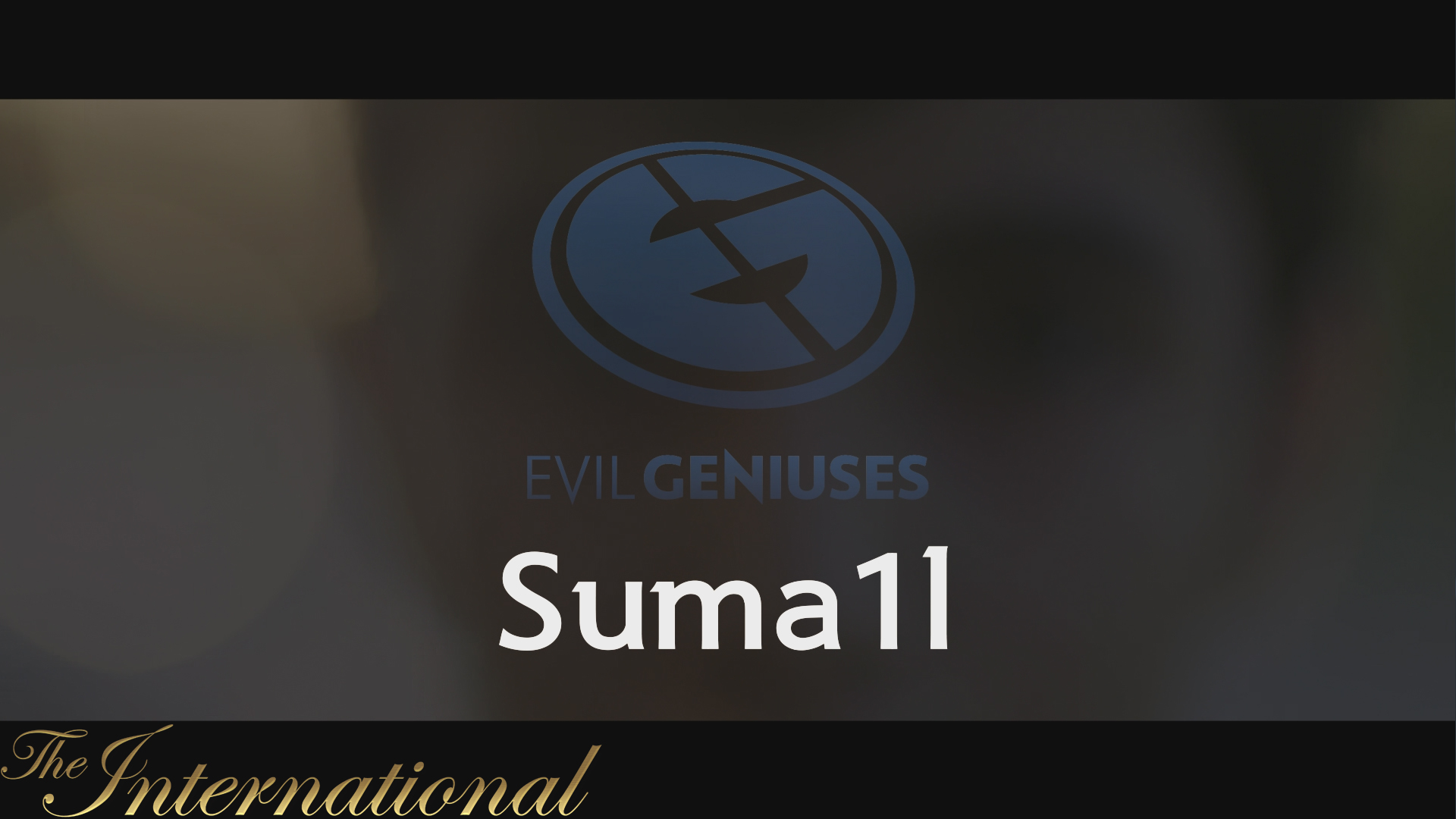 Dota 2 Player Profiles screenshot 9