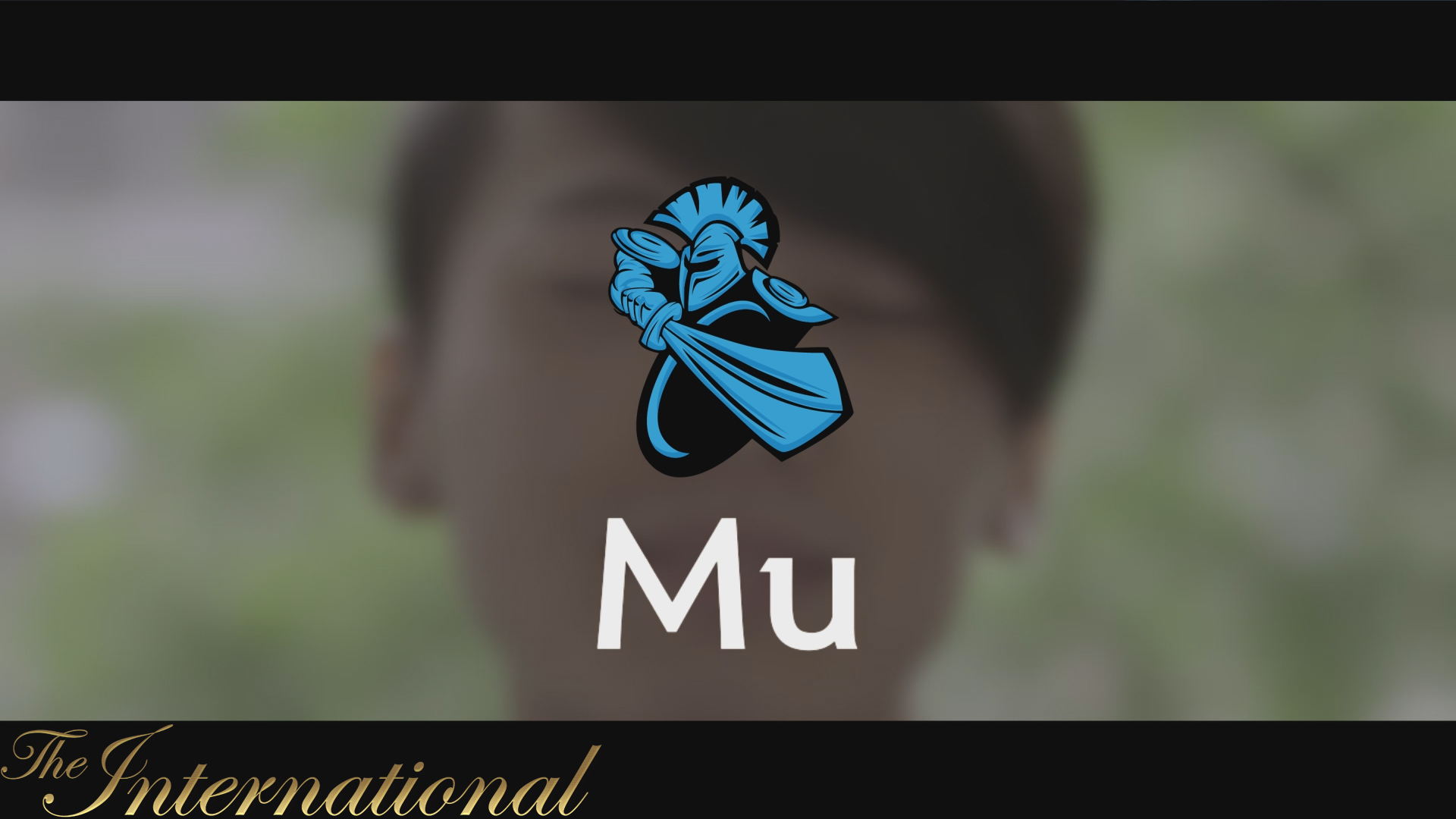 Dota 2 Player Profiles screenshot 14