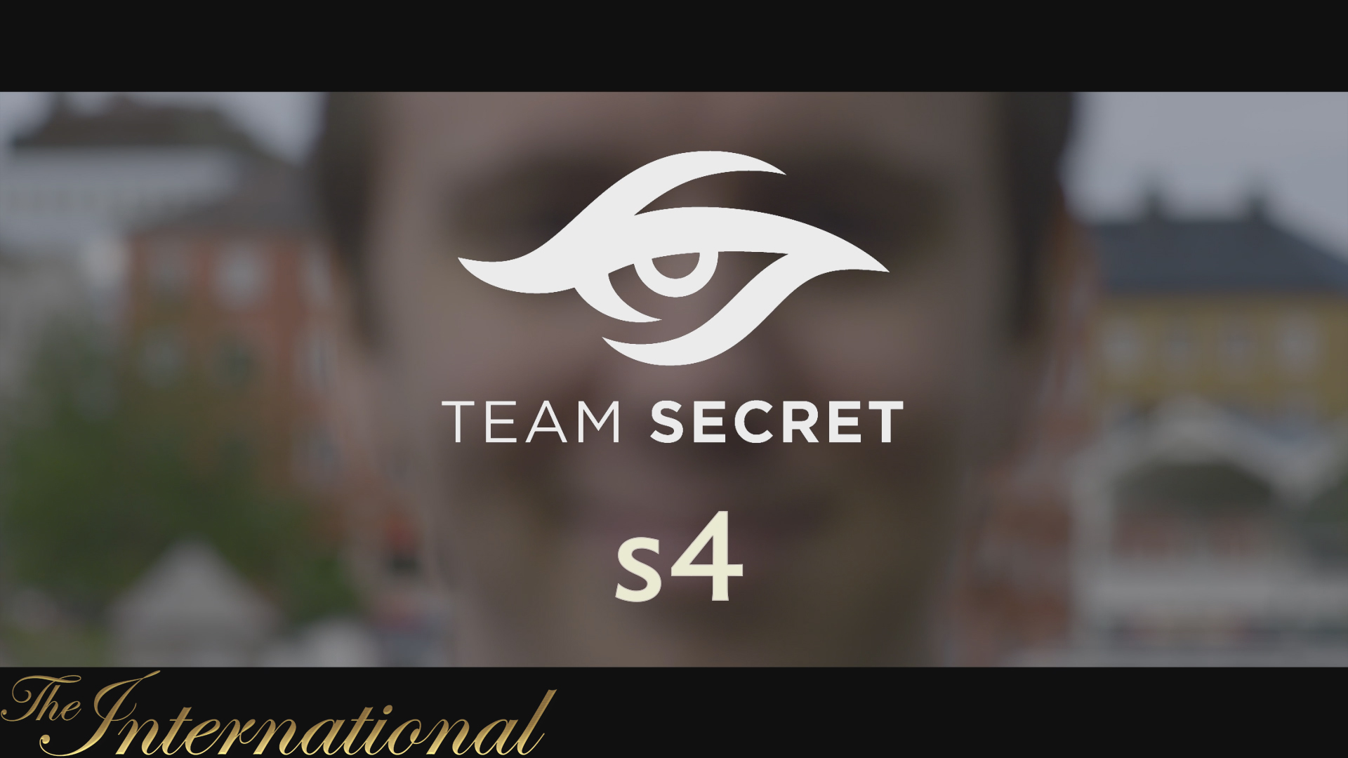 Dota 2 Player Profiles screenshot 19