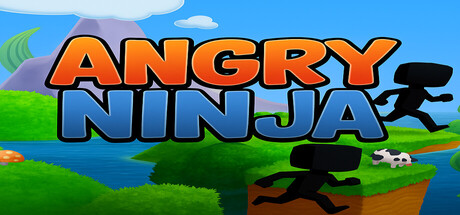 Angry Ninja