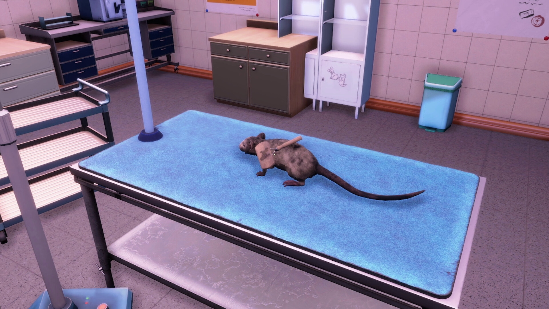 Animal Shelter 2 - Little Friends DLC screenshot 10
