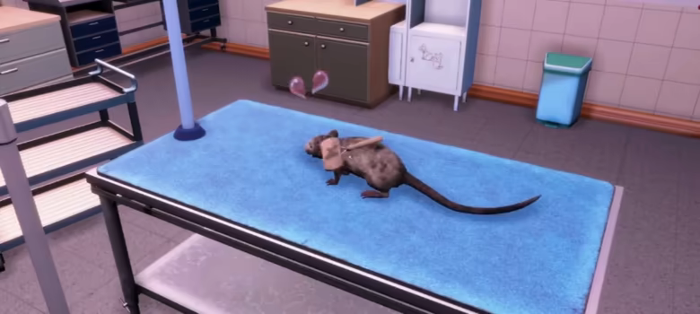 动物收容所 2- 小小伙伴 官中