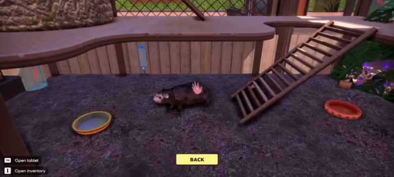 动物收容所 2- 小小伙伴 官中