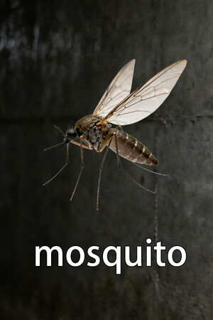 d4de16d0-317d-4d7e-99f7-a5f8b0c4ca5b