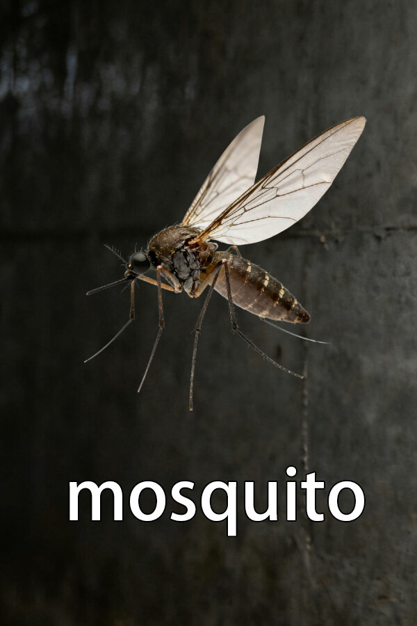 8ed4e61d-1c72-8765-026a-441b97dd4964