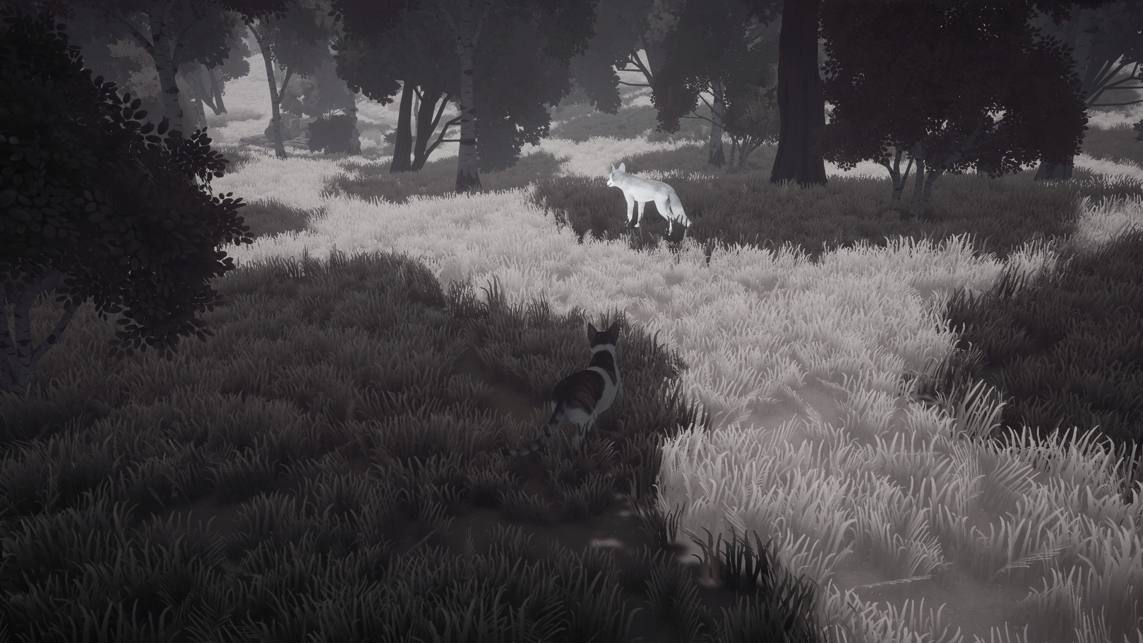 The Lost Paws screenshot 2