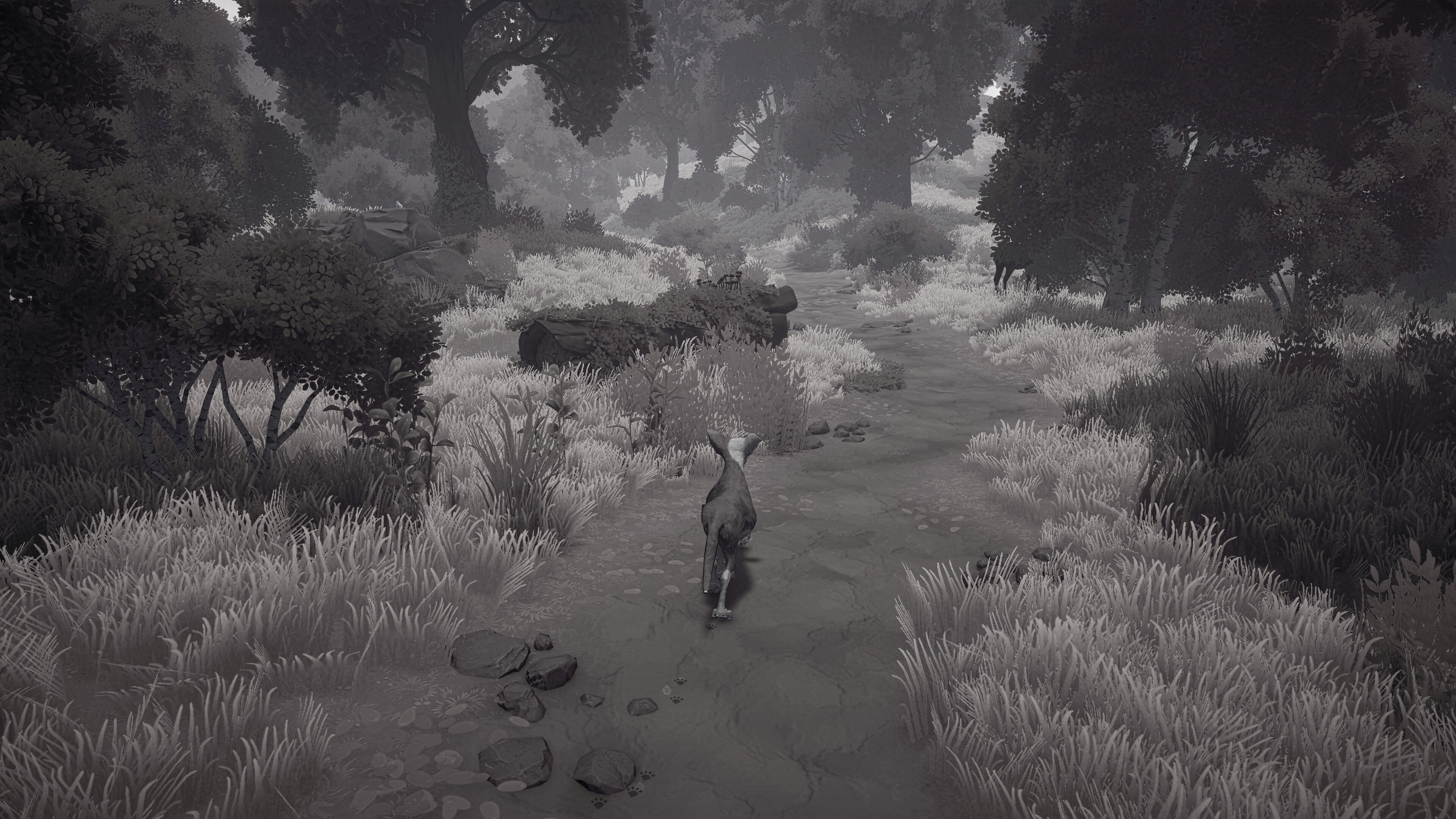 The Lost Paws screenshot 4