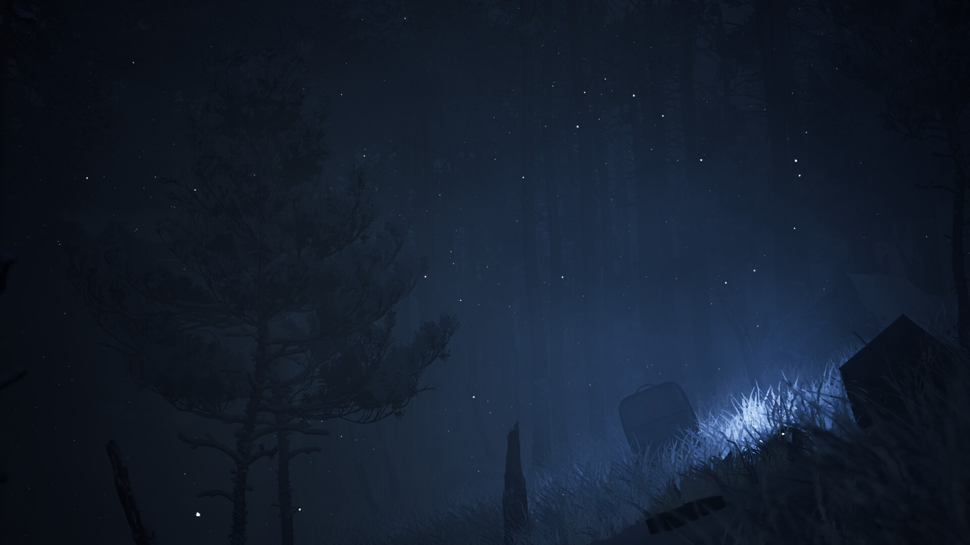 Canary screenshot 3