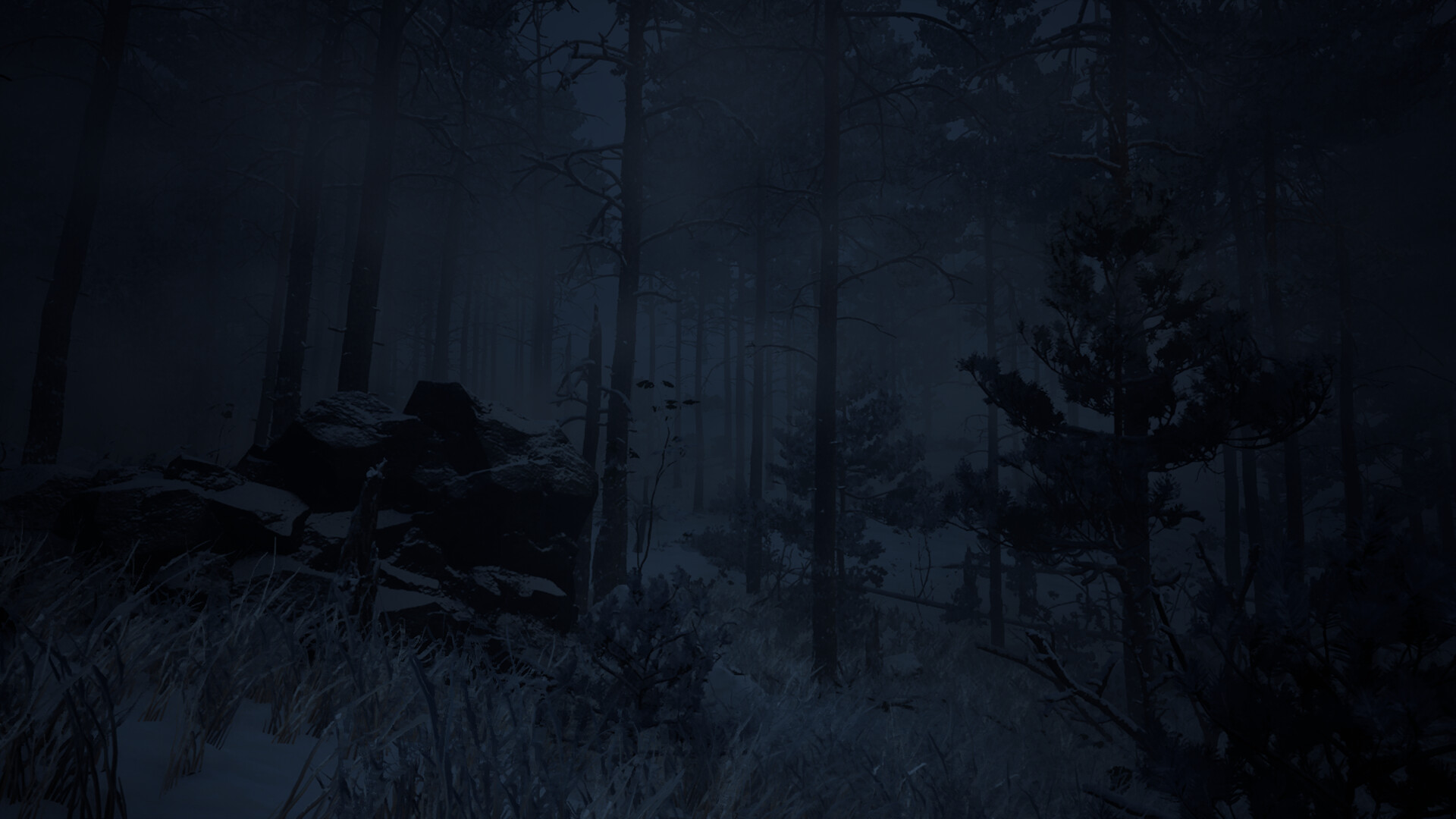 Canary screenshot 9